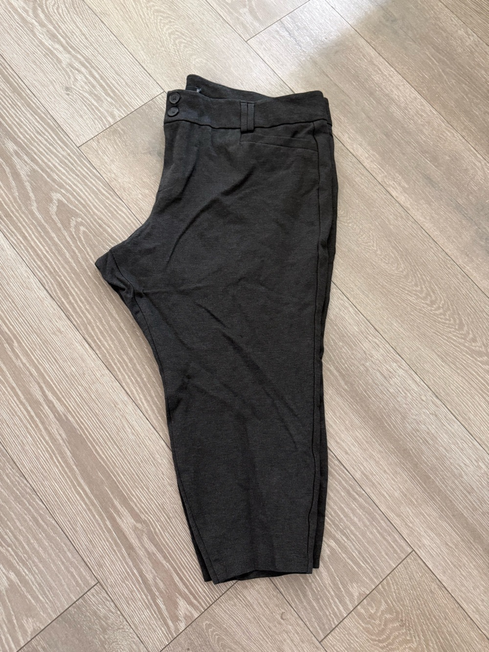 torrid 26 Gray Studio Pixie Pants